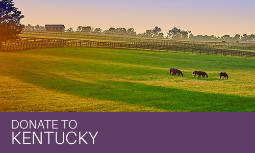 Donate to Kentucky